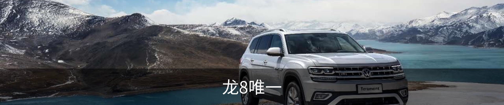 龙8唯一